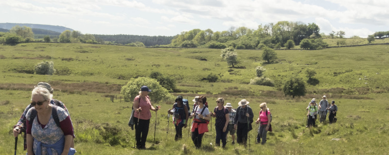 Photograph of Walking Route - Image 49