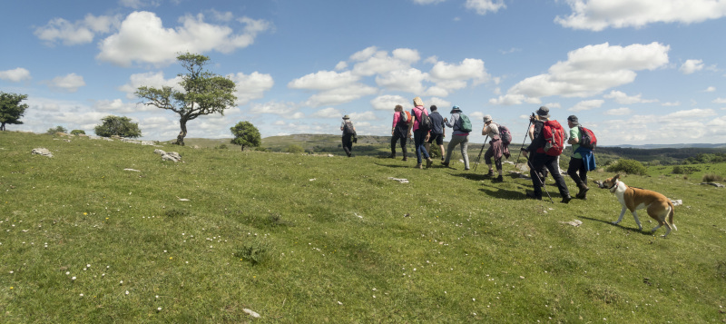 Photograph of Walking Route - Image 50