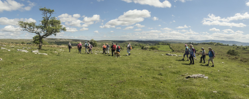 Photograph of Walking Route - Image 51