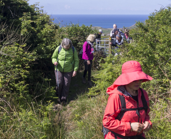Photograph of Walking Route - Image 11
