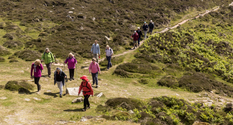 Photograph of Walking Route - Image 29