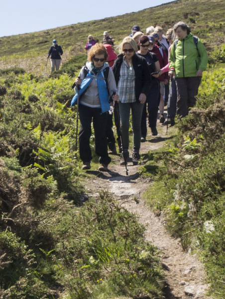 Photograph of Walking Route - Image 34