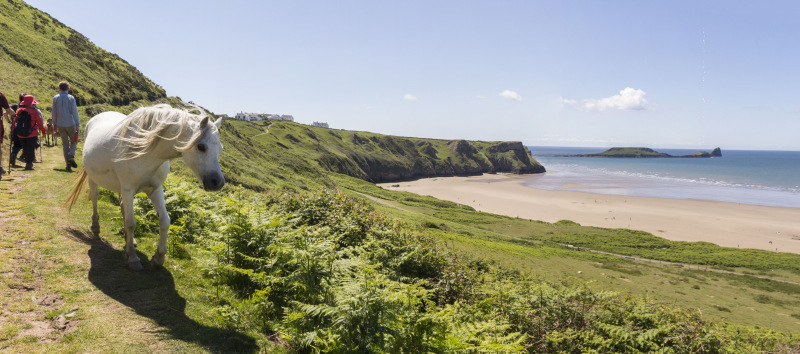 Photograph of Walking Route - Image 50