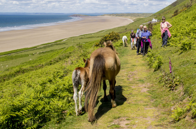 Photograph of Walking Route - Image 51