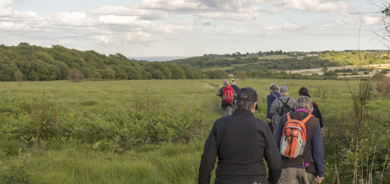 Photograph of Walking Route - Image 4