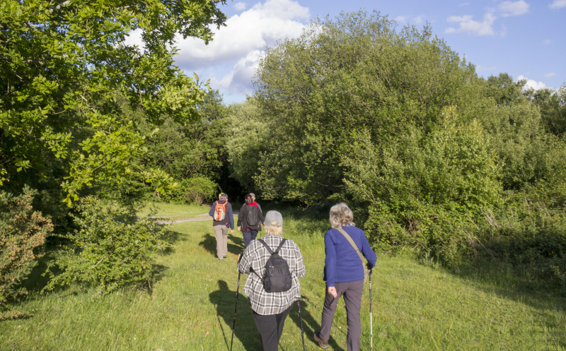 Photograph of Walking Route - Image 6