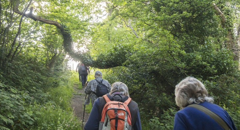 Photograph of Walking Route - Image 10