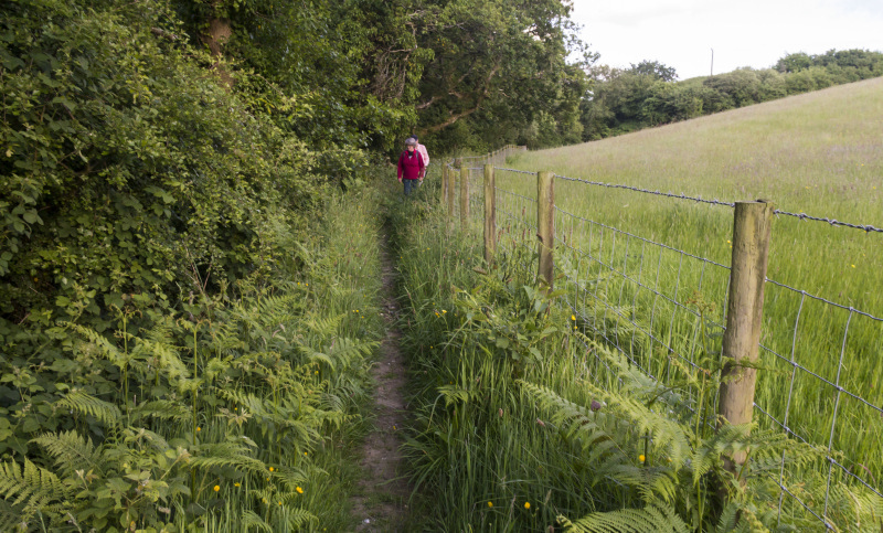 Photograph of Walking Route - Image 11