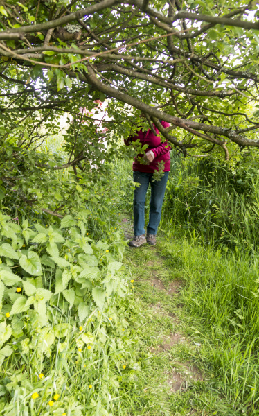 Photograph of Walking Route - Image 12