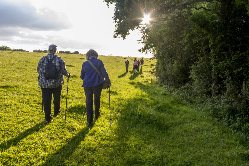 Photograph of Walking Route - Image 14