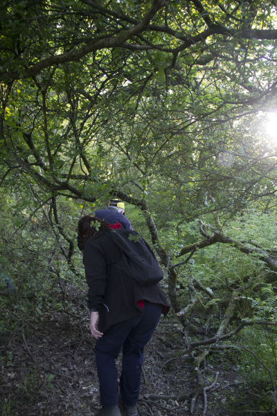 Photograph of Walking Route - Image 15