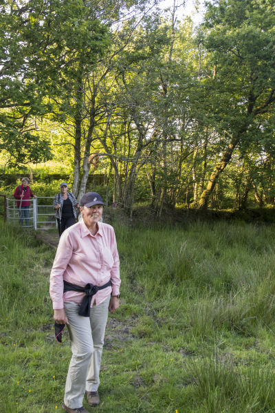 Photograph of Walking Route - Image 16