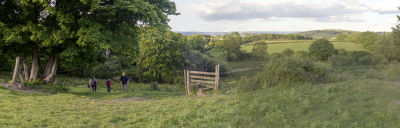 Photograph of Walking Route - Image 18