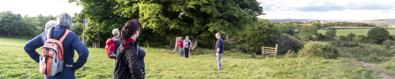 Photograph of Walking Route - Image 19