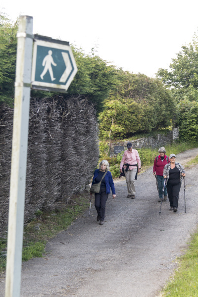 Photograph of Walking Route - Image 20