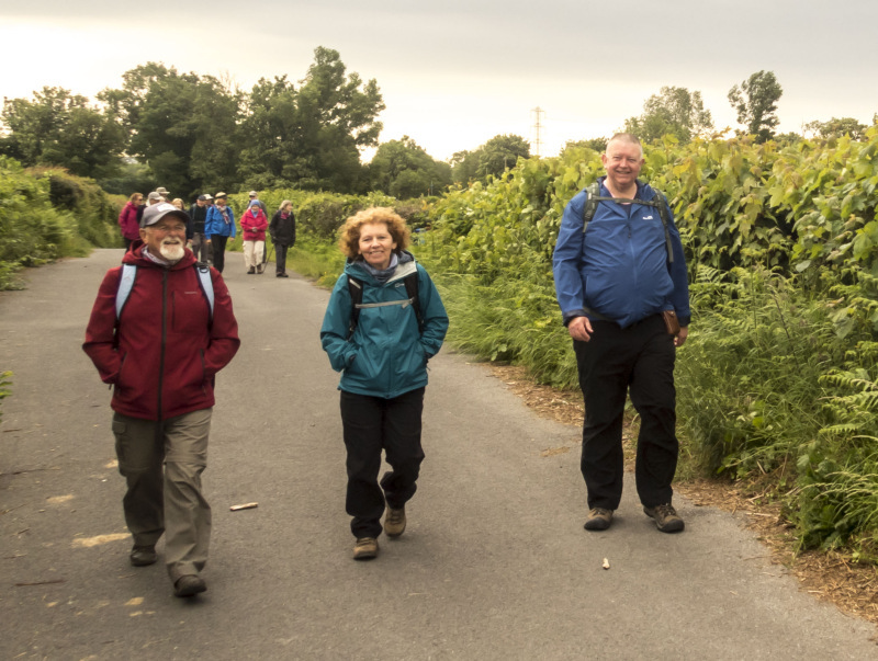 Photograph of Walking Route - Image 5
