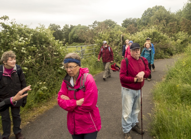 Photograph of Walking Route - Image 6