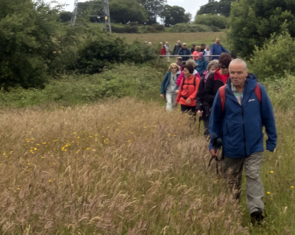 Photograph of Walking Route - Image 12