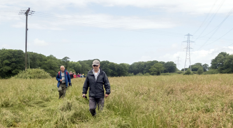 Photograph of Walking Route - Image 13