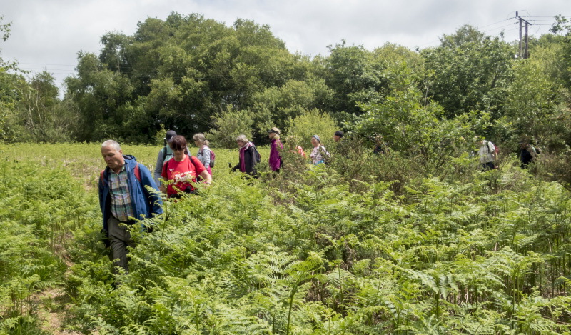 Photograph of Walking Route - Image 14
