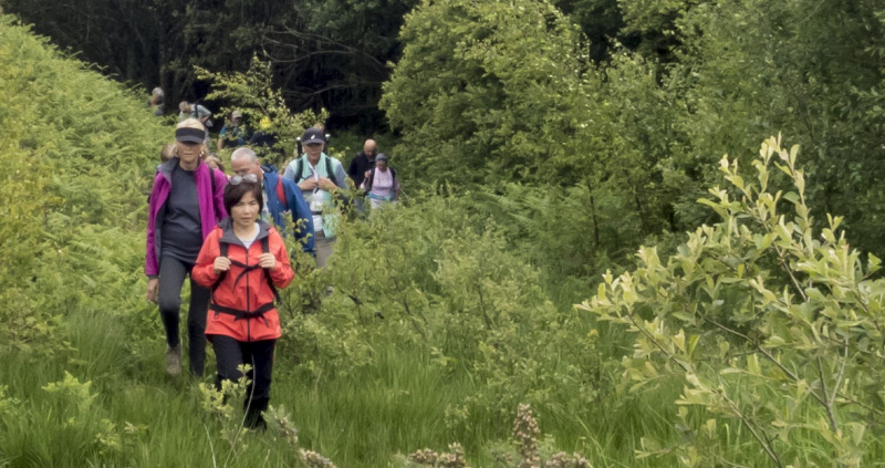 Photograph of Walking Route - Image 16