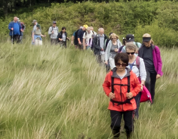 Photograph of Walking Route - Image 17