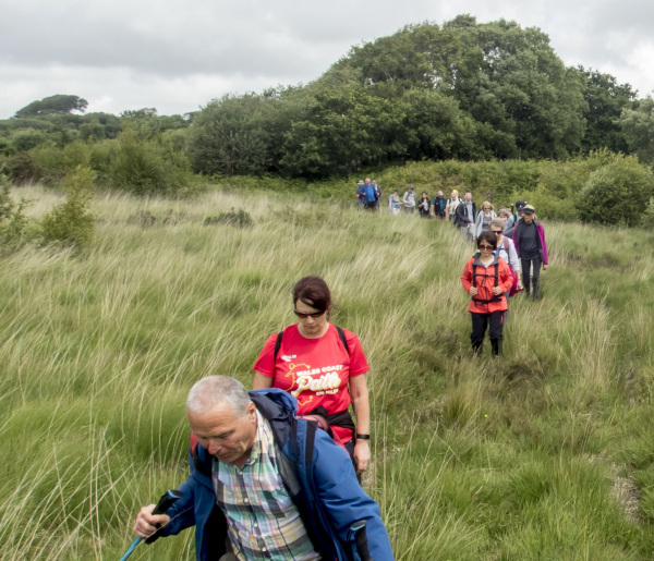 Photograph of Walking Route - Image 18