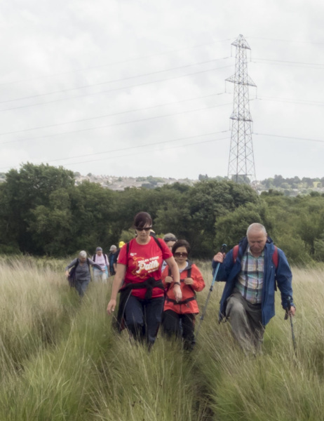 Photograph of Walking Route - Image 19