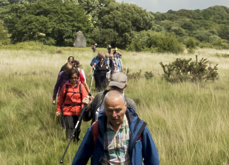 Photograph of Walking Route - Image 25