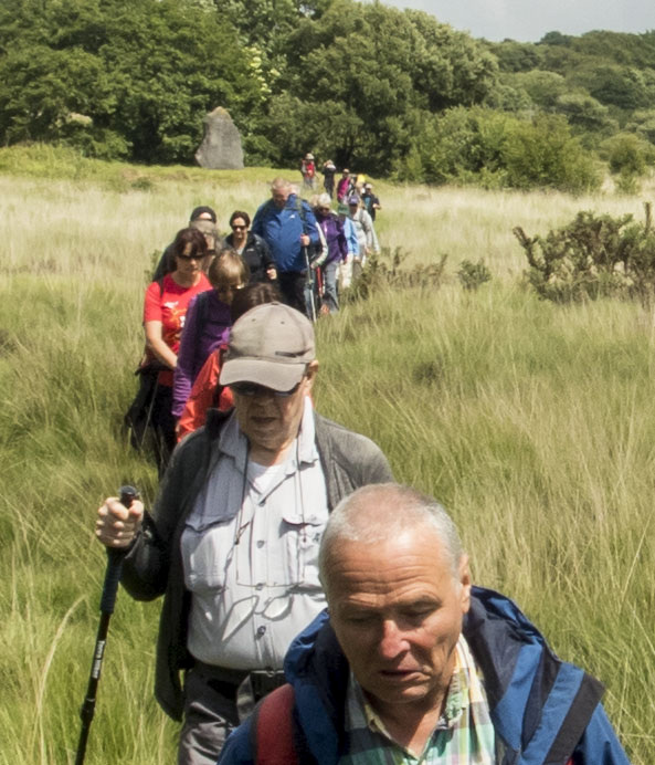 Photograph of Walking Route - Image 26