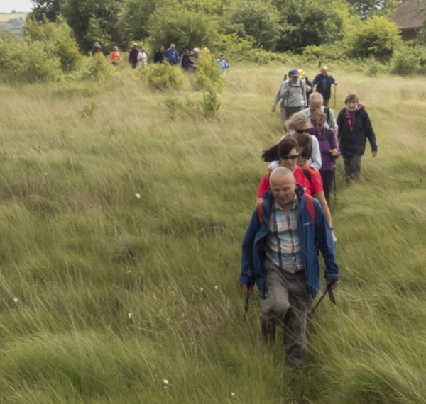 Photograph of Walking Route - Image 29