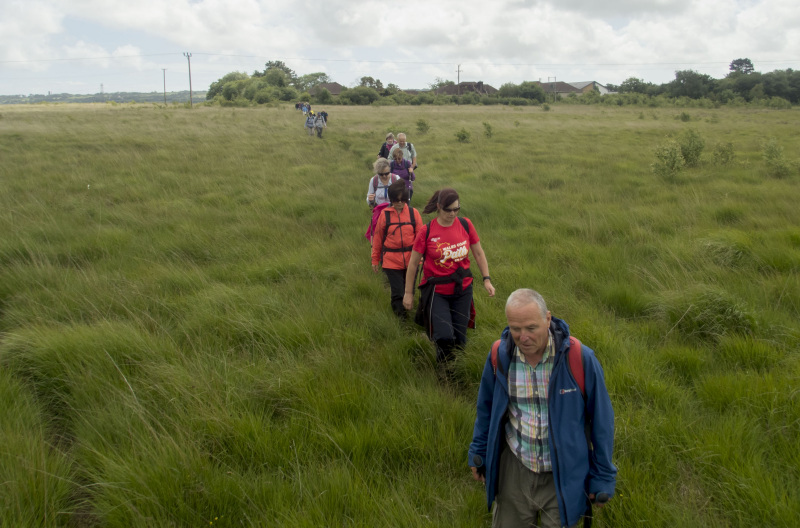 Photograph of Walking Route - Image 30