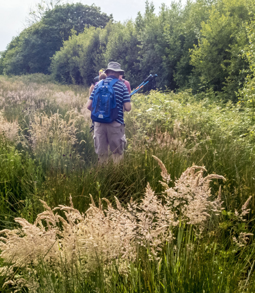 Photograph of Walking Route - Image 5