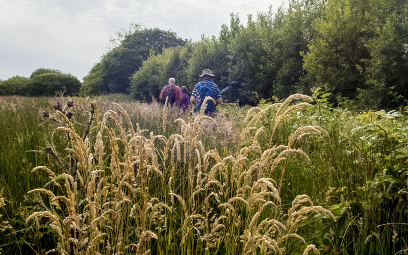 Photograph of Walking Route - Image 6
