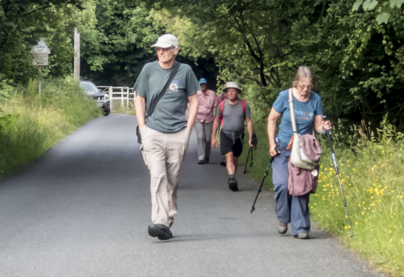 Photograph of Walking Route - Image 9
