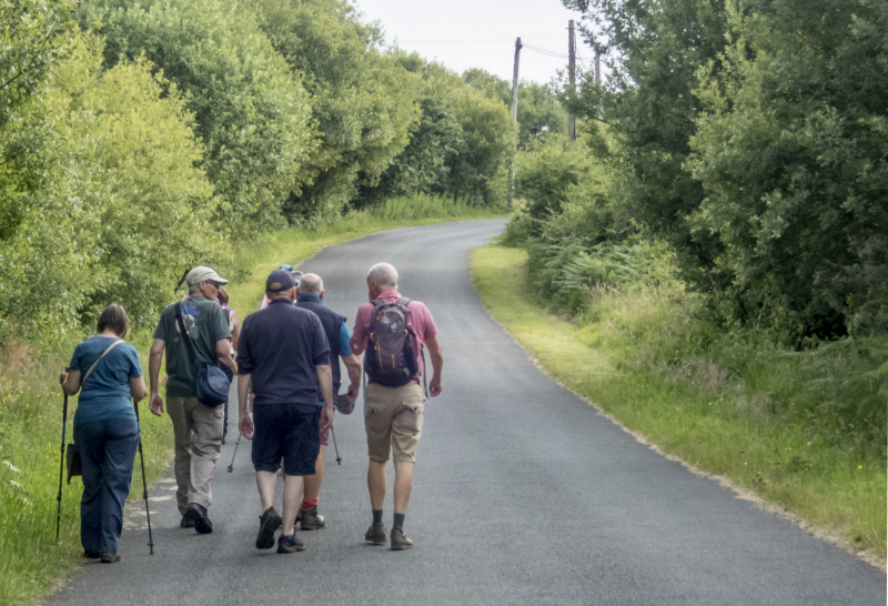 Photograph of Walking Route - Image 12