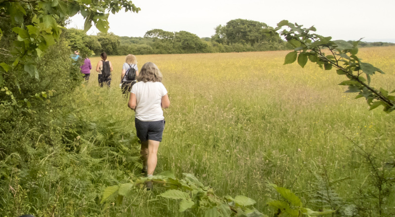 Photograph of Walking Route - Image 13