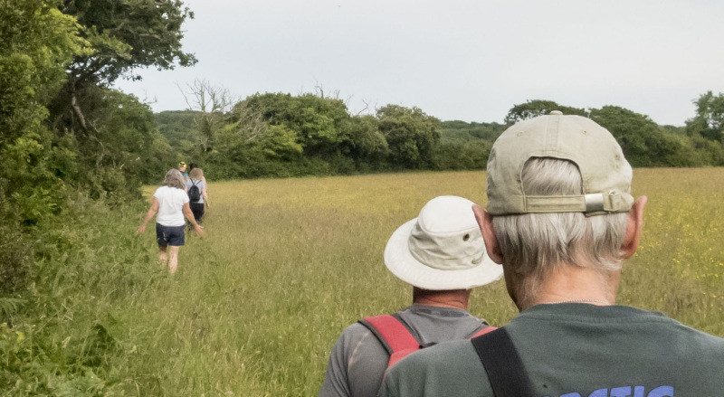 Photograph of Walking Route - Image 14