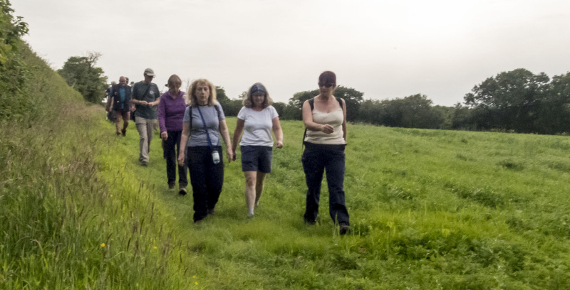 Photograph of Walking Route - Image 16