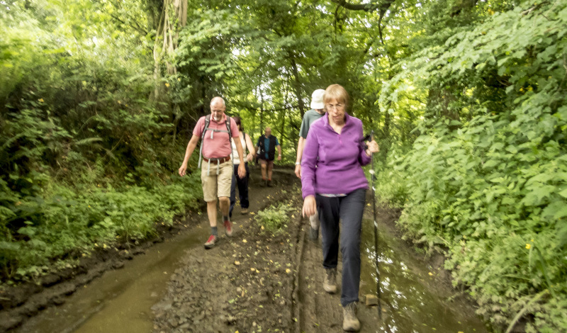 Photograph of Walking Route - Image 19