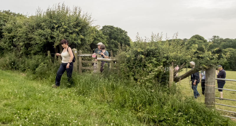 Photograph of Walking Route - Image 20
