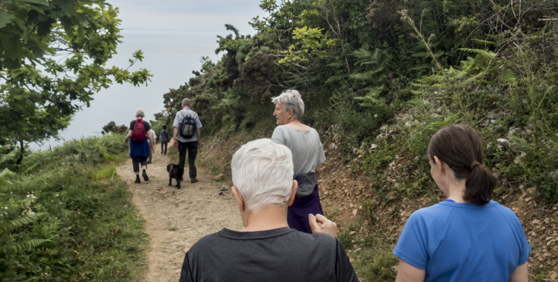 Photograph of Walking Route - Image 5