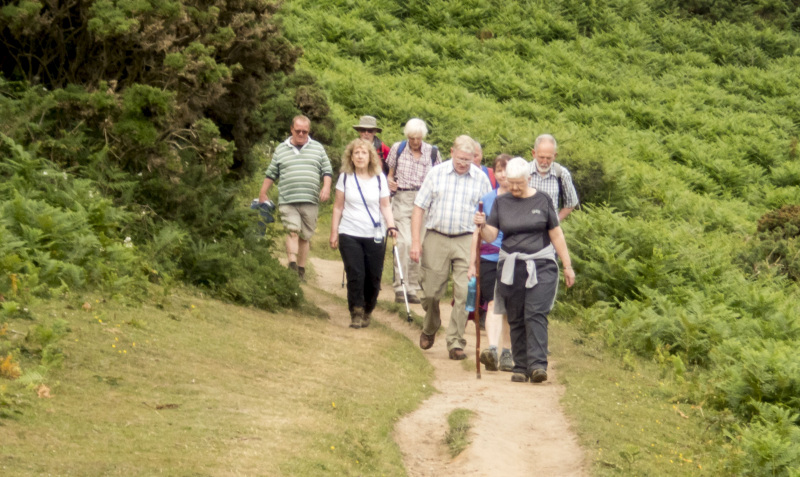 Photograph of Walking Route - Image 10