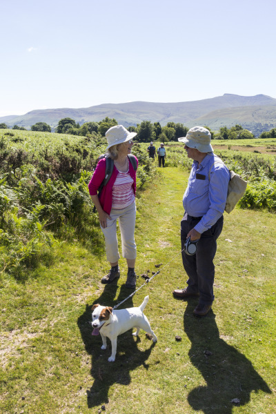 Photograph of Walking Route - Image 4
