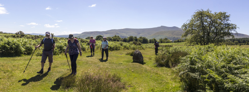 Photograph of Walking Route - Image 6