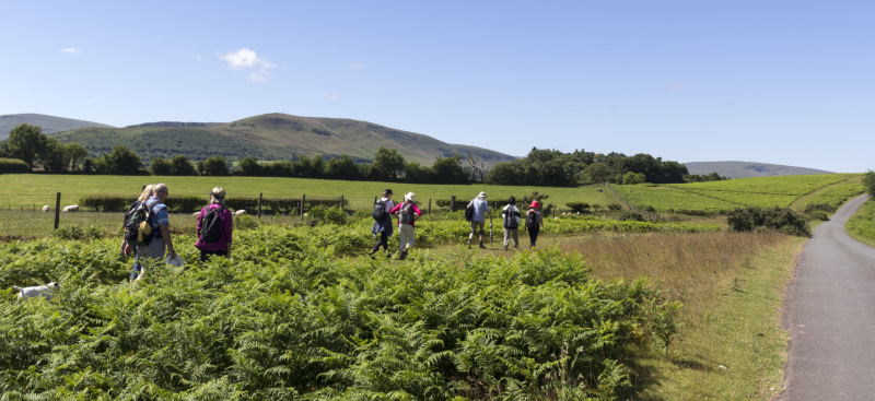 Photograph of Walking Route - Image 7