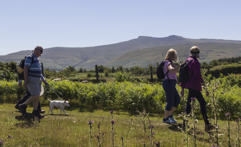 Photograph of Walking Route - Image 8