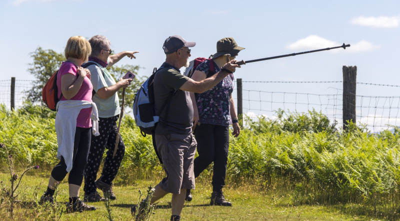 Photograph of Walking Route - Image 9