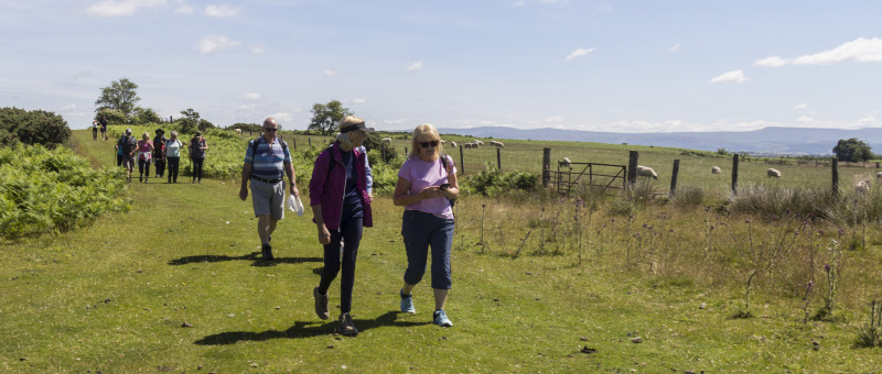 Photograph of Walking Route - Image 10