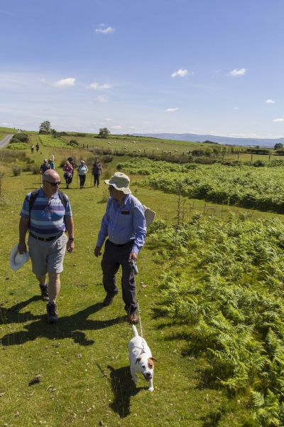 Photograph of Walking Route - Image 15
